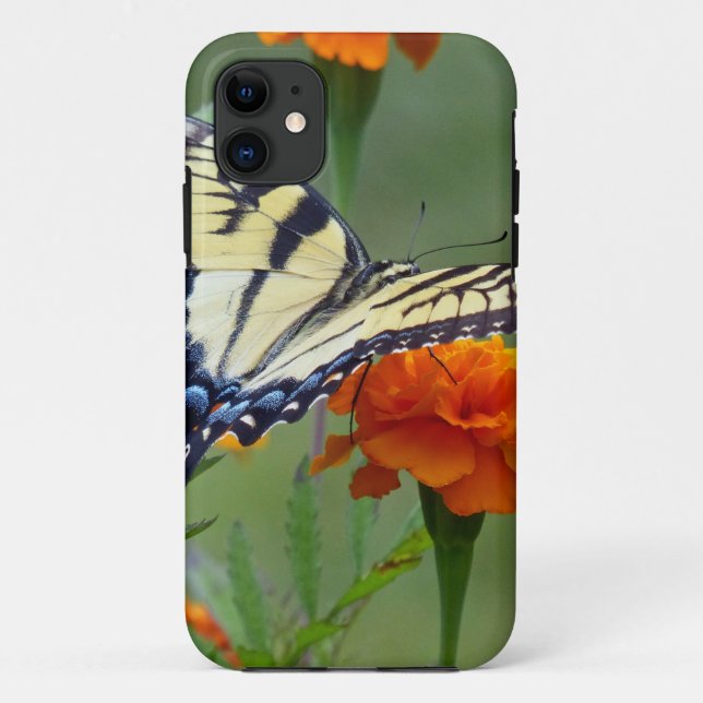 Capa Para iPhone Da Case-Mate Amarelo, Tigre Oriental (Verso)