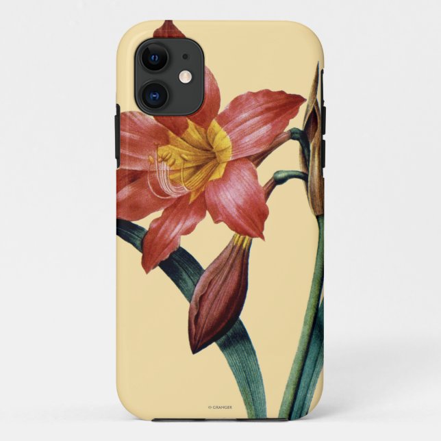 Capa Para iPhone Da Case-Mate Amaryllis (Verso)