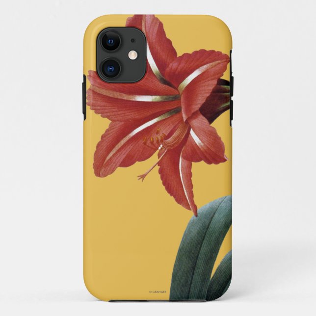Capa Para iPhone Da Case-Mate Amaryllis listrado (Verso)