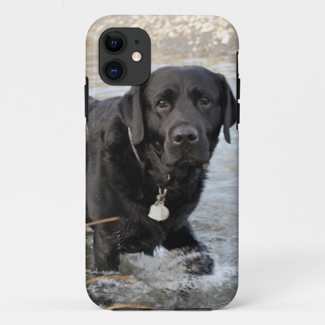 Capa Para iPhone Da Case-Mate Amor preto do laboratório (Verso)