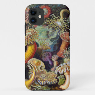 Capa Para iPhone Da Case-Mate Anêmonas de mar de Ernst Haeckel