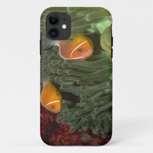 Capa Para iPhone Da Case-Mate Anemonefish cor-de-rosa na anêmona de mar de