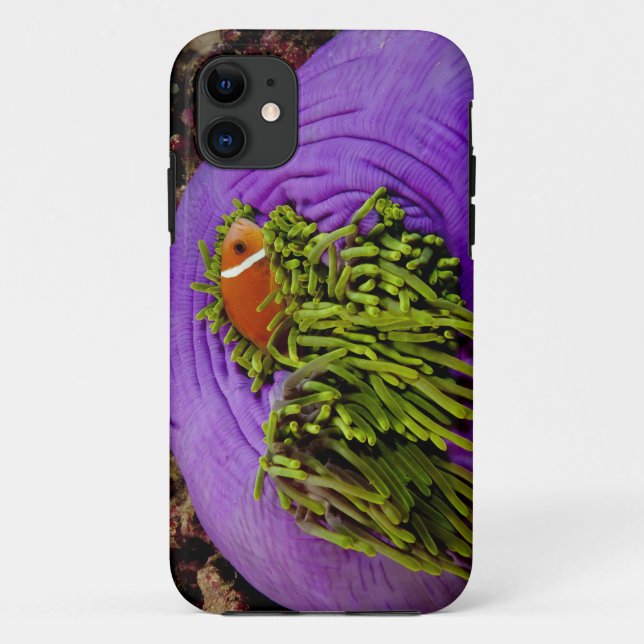 Capa Para iPhone Da Case-Mate Anemonefish e grande anêmona (Verso)