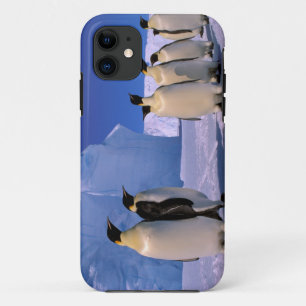 Capa Para iPhone Da Case-Mate Antártica, Território Antártico Australiano, 7