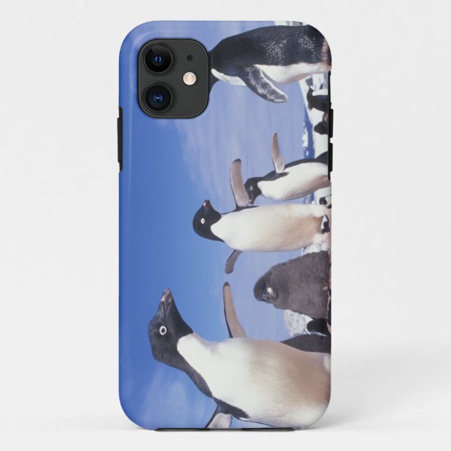 Capa Para iPhone Da Case-Mate Antártida, Pinguim-de-adélia Pygoscelis (Verso)