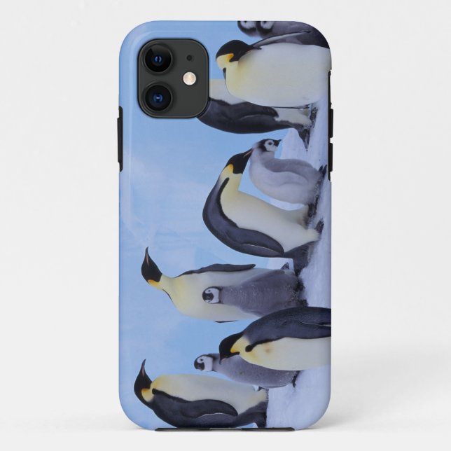 Capa Para iPhone Da Case-Mate Antártida, Pinguins Imperadores (Verso)