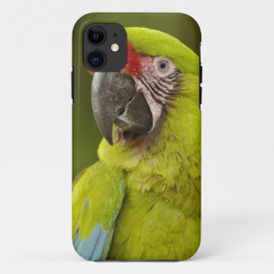 Capa Para iPhone Da Case-Mate Arara-canindé