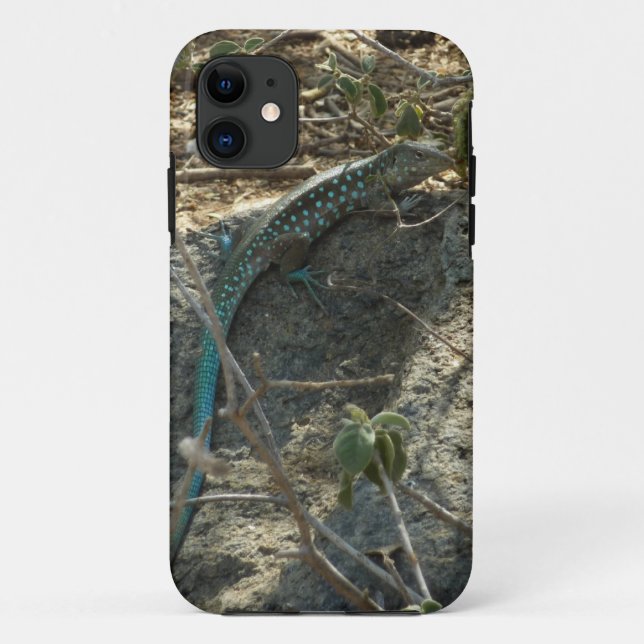 Capa Para iPhone Da Case-Mate Aruban Whiptail Lizard Fotografia Animal Tropical (Verso)