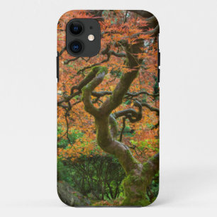 Capa Para iPhone Da Case-Mate Árvore de bordo nos jardins japoneses no outono