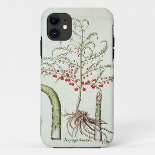 Capa Para iPhone Da Case-Mate Aspargo comum na flor e na fruta, do 'Ho