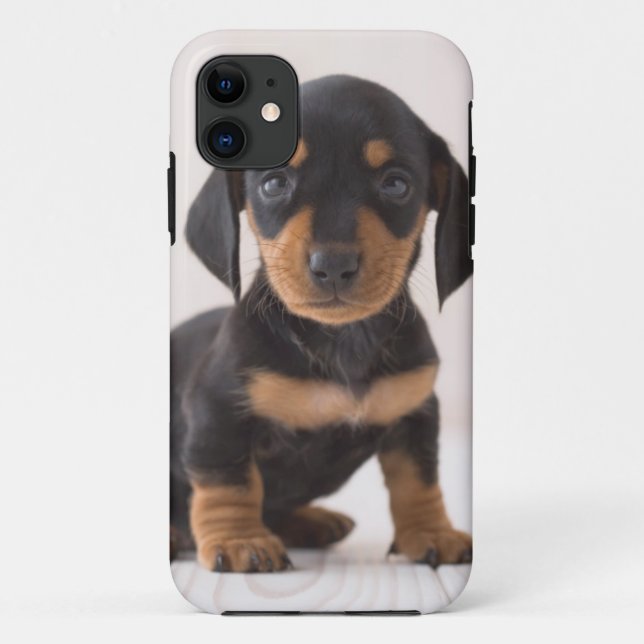 Capa Para iPhone Da Case-Mate Assento diminuto do Dachshund (Verso)
