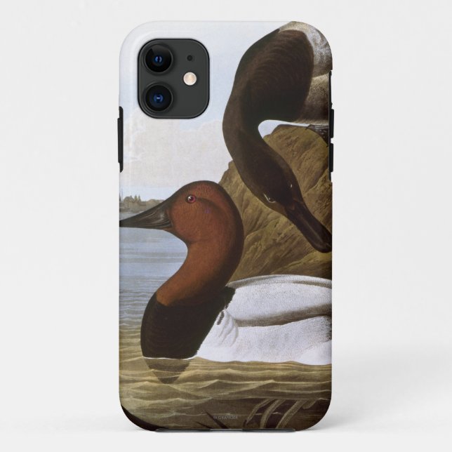 Capa Para iPhone Da Case-Mate Audubon: Canvasback (Verso)