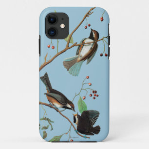 Capa Para iPhone Da Case-Mate Audubon: Chickadee