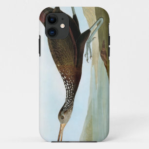 Capa Para iPhone Da Case-Mate Audubon: Limpkin