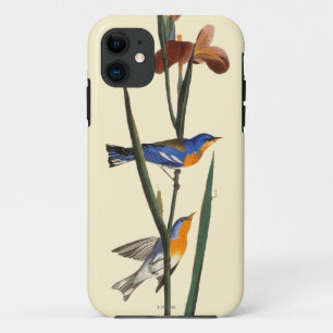 Capa Para iPhone Da Case-Mate Audubon: Toutinegra