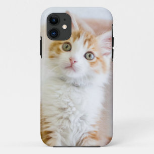 Capa Para iPhone Da Case-Mate Azul doce gatinho Eyed
