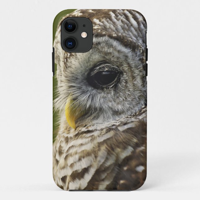 Capa Para iPhone Da Case-Mate Barred Owl, Strix varia, Michigan (Verso)