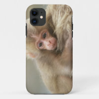 Bebê Macaco da Neve, Jigokudani, Nagano, Japão 2