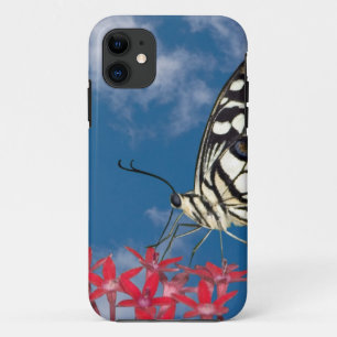 Capa Para iPhone Da Case-Mate Bela Borboleta