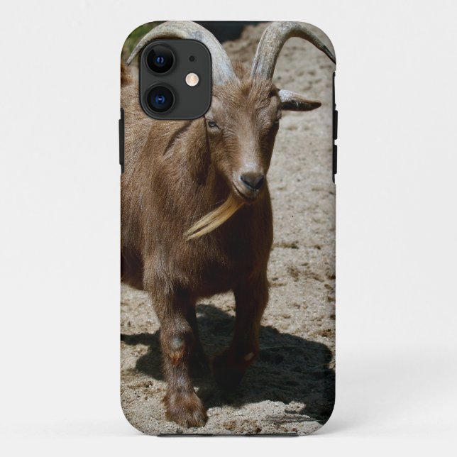 Capa Para iPhone Da Case-Mate Bill (Verso)