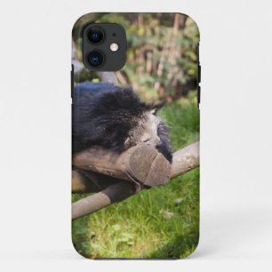 Capa Para iPhone Da Case-Mate Binturong dormindo