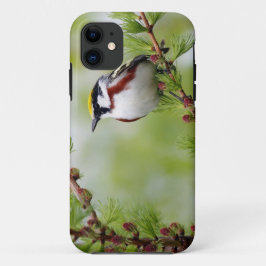 Capa Para iPhone Da Case-Mate Bird grey_iphone