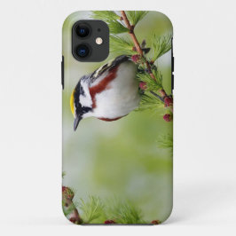 Capa Para iPhone Da Case-Mate Bird grey_iphone