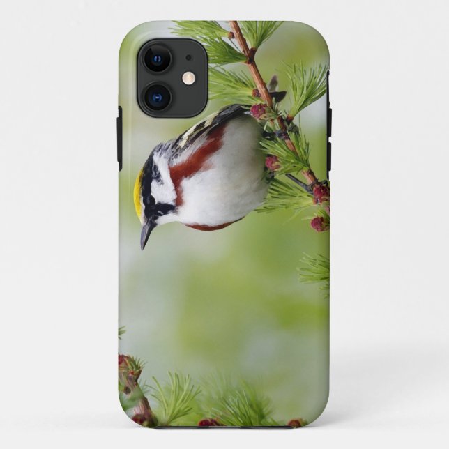 Capa Para iPhone Da Case-Mate Bird grey_iphone (Verso)
