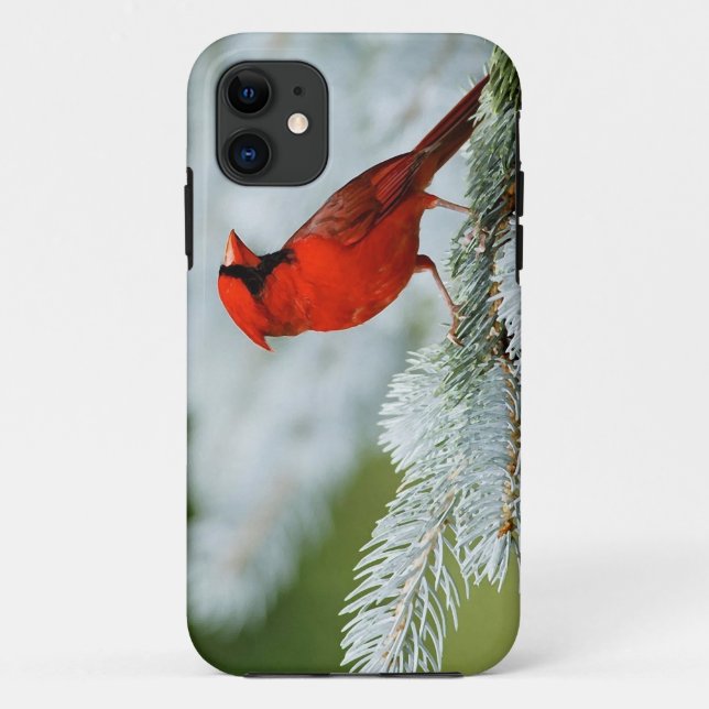 Capa Para iPhone Da Case-Mate Bird red_iphone (Verso)