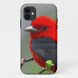 Capa Para iPhone Da Case-Mate Bird red_iphone