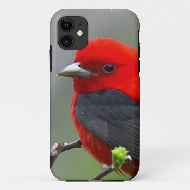 Capa Para iPhone Da Case-Mate Bird red_iphone (Verso)