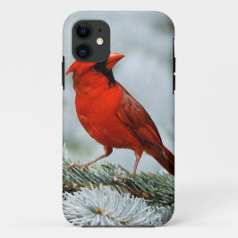 Capa Para iPhone Da Case-Mate Bird red_iphone