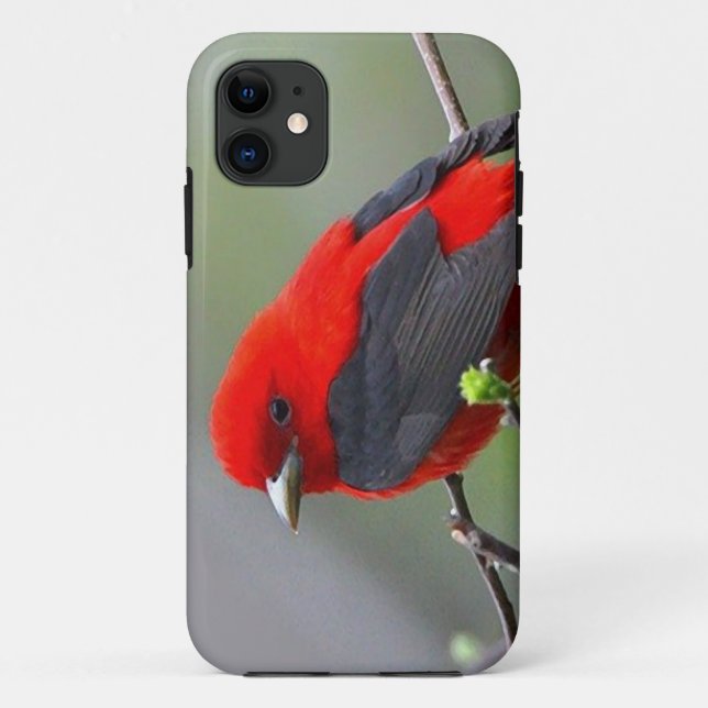Capa Para iPhone Da Case-Mate Bird red_iphone (Verso)