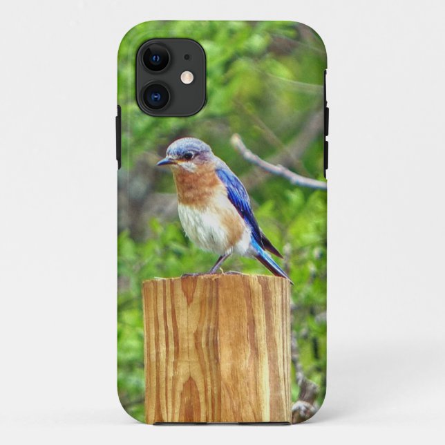 Capa Para iPhone Da Case-Mate Bluebird em Posto de cerca (Verso)