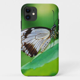 Capa Para iPhone Da Case-Mate Borboleta Marrom Escuro e Cinza