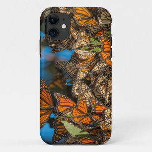 Capa Para iPhone Da Case-Mate Borboletas-monarca migratórias se agarram às folha