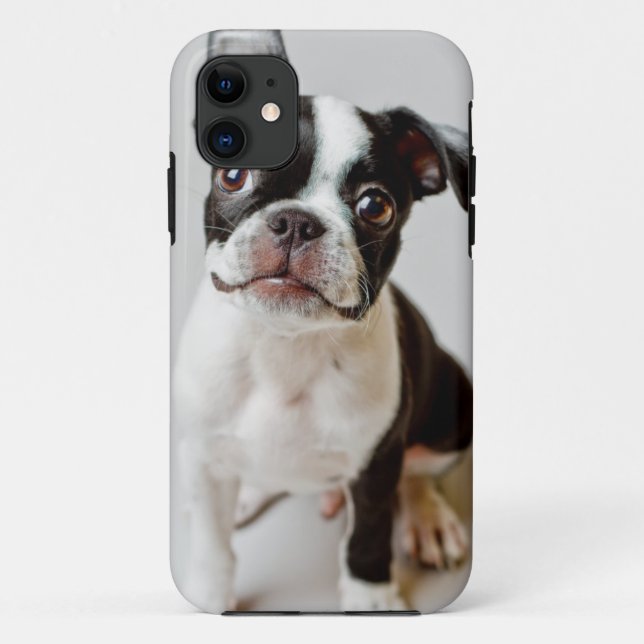 Capa Para iPhone Da Case-Mate Boston Terrier (Verso)