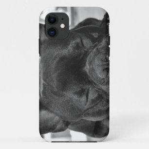Capa Para iPhone Da Case-Mate Buldogue francês
