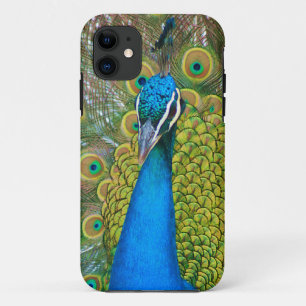 Capa Para iPhone Da Case-Mate Cabeça Azul de Peacock com Penas Coloridas das Cau