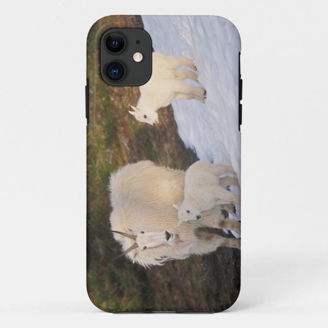 Capa Para iPhone Da Case-Mate cabras montesas (Verso)