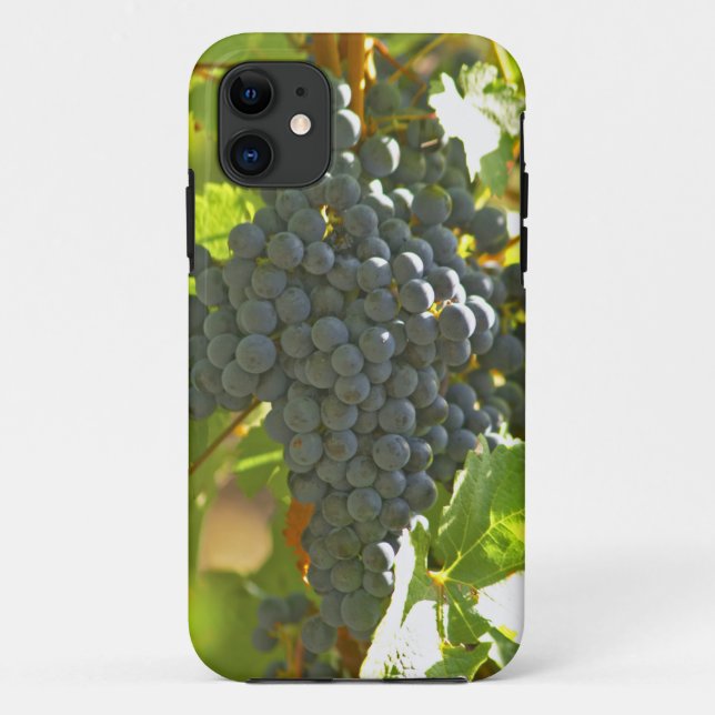 Capa Para iPhone Da Case-Mate cacho de uva Cabernet Sauvignon no Chateau (Verso)