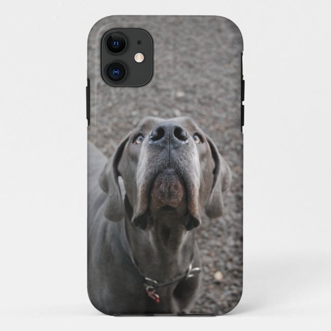 Capa Para iPhone Da Case-Mate Cachorro na orelha (Verso)
