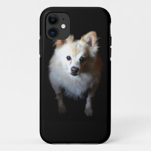 Capa Para iPhone Da Case-Mate Cachorro Pomerano no Escuro
