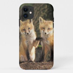 Capa Para iPhone Da Case-Mate Cãibra de Raposa Vermelha em frente a den Vulpes v
