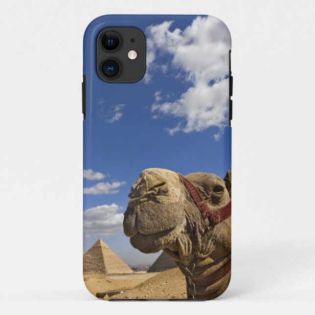 Capa Para iPhone Da Case-Mate Camel em frente às pirâmides de Giza, Egito, (Verso)