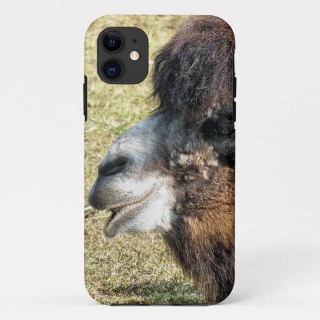CAPA PARA iPhone DA Case-Mate CAMELOS (Verso)