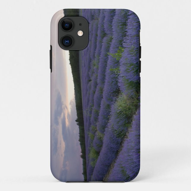 Capa Para iPhone Da Case-Mate Campo da lavanda no por do sol (Verso)