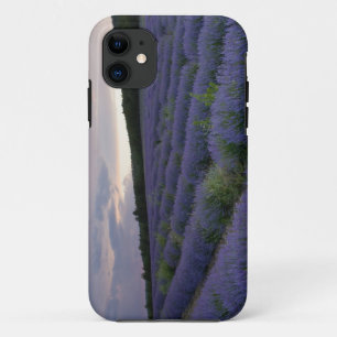Capa Para iPhone Da Case-Mate Campo da lavanda no por do sol
