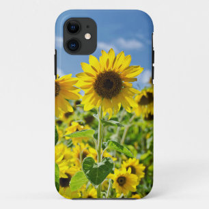 Capa Para iPhone Da Case-Mate Campo de Sunflower