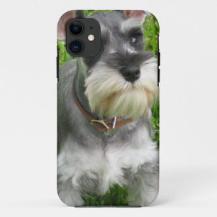 Capa Para iPhone Da Case-Mate Cão do Schnauzer